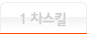 1차 스킬